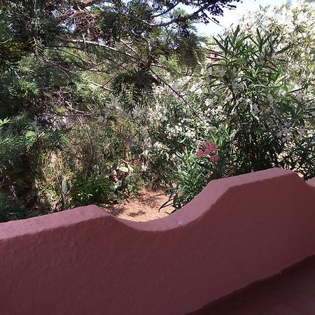 Villa Il Fenicottero Rosa à Olbia Extérieur photo