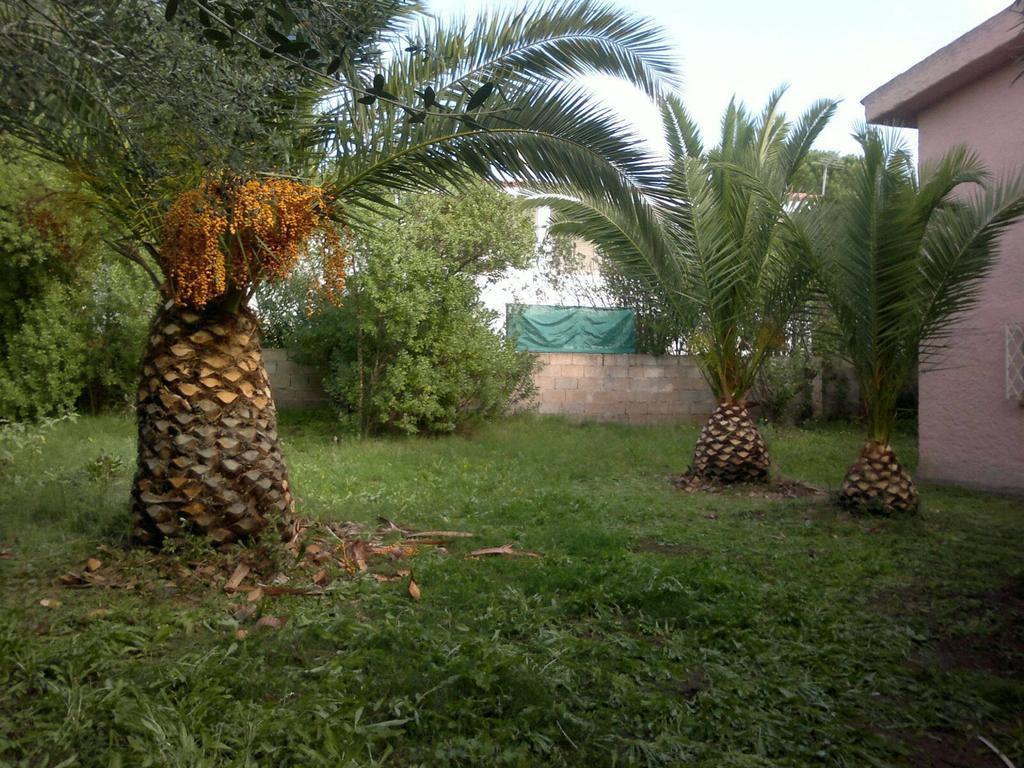 Villa Il Fenicottero Rosa à Olbia Extérieur photo
