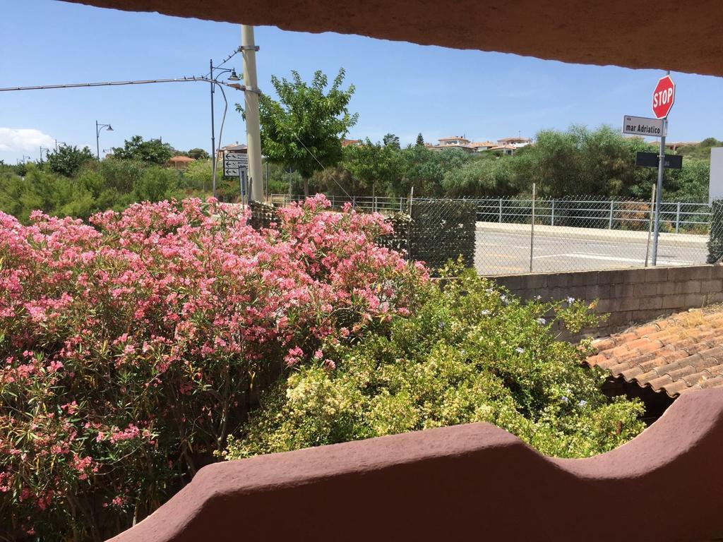Villa Il Fenicottero Rosa à Olbia Extérieur photo