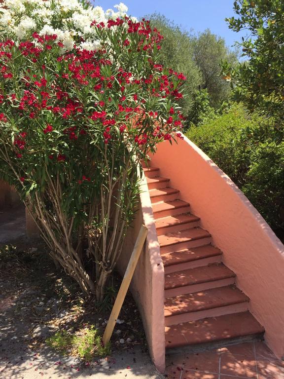 Villa Il Fenicottero Rosa à Olbia Extérieur photo